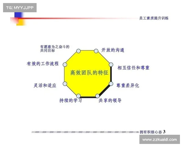 全方位剖析解说团队的协作模式与成功背后的核心策略